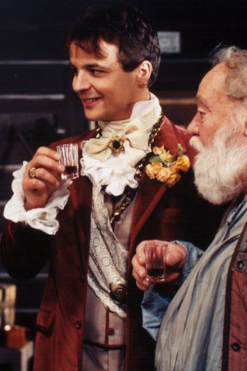 Movie poster for O princi Truhlíkovi (1996)