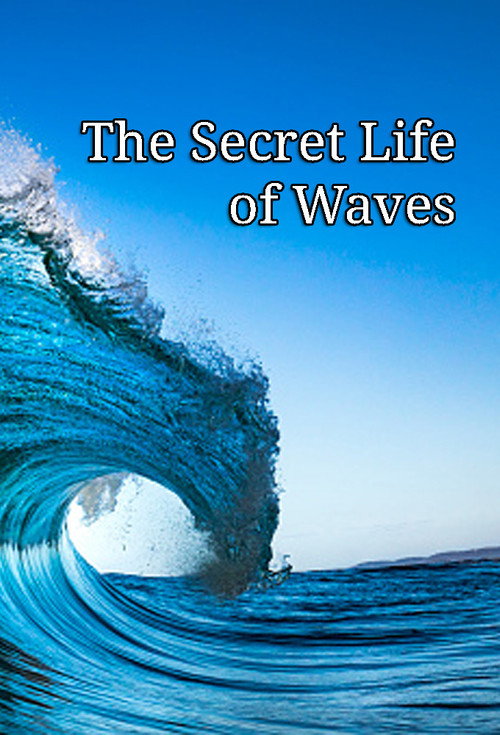 Movie poster for The Secret Life of Waves (2011)