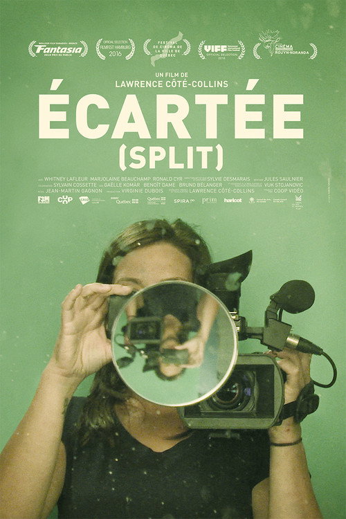 Movie poster for Split (2016)