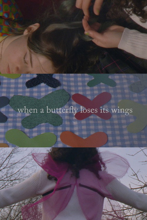 Movie poster for When A Butterfly Loses Its Wings (2020)
