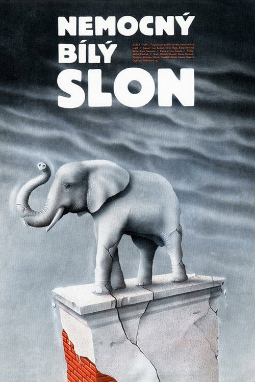 Movie poster for Nemocný bílý slon (1990)