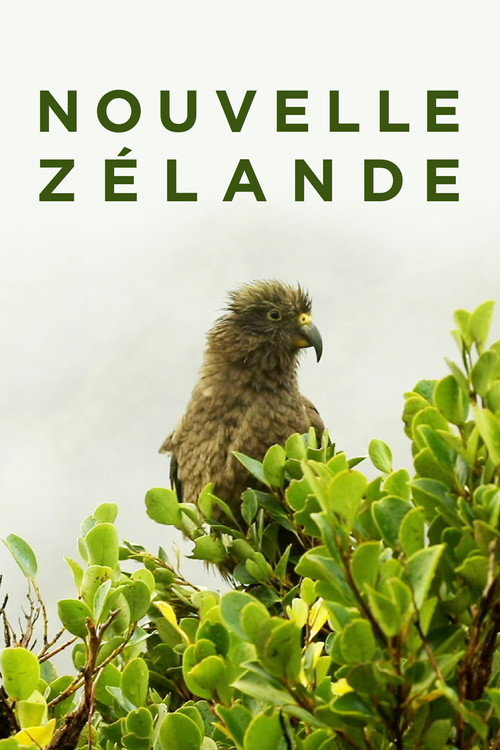 Series poster for Nouvelle-Zélande : La Reconquête Maorie (2018)