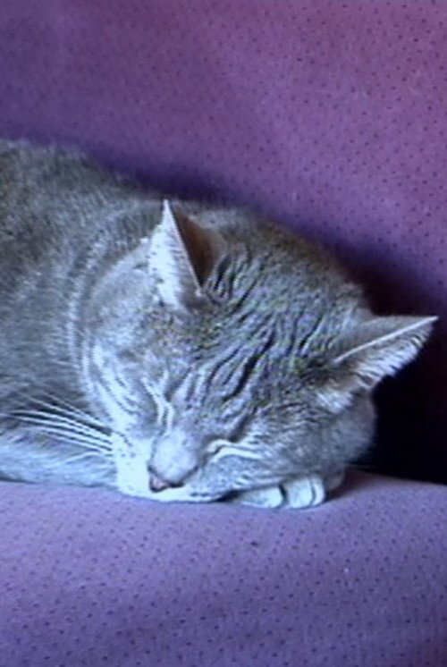 Movie poster for Nine Lives (The Eternal Moment of Now) (2001)