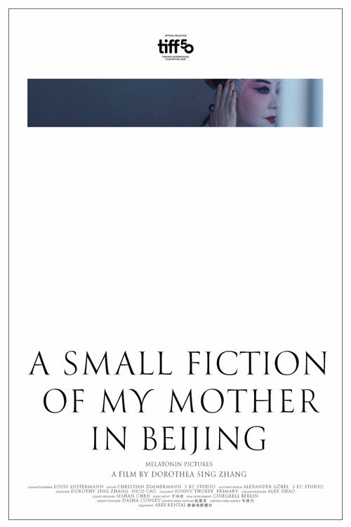 Movie poster for A Small Fiction of My Mother in Beijing (2025)