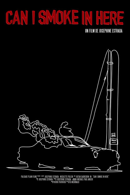 Movie poster for Can I Smoke In Here (2020)