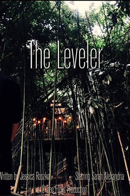 Movie poster for The Leveler