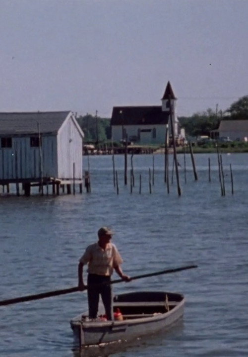 Movie poster for Mermaids, Frog Legs, and Fillets (1978)