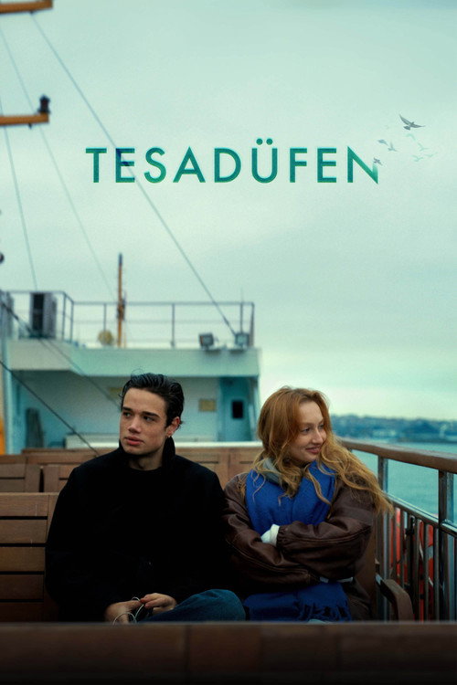 Movie poster for Coincidentally (2026)
