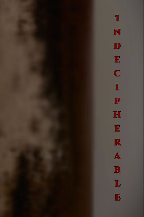 Movie poster for Indecipherable (2025)