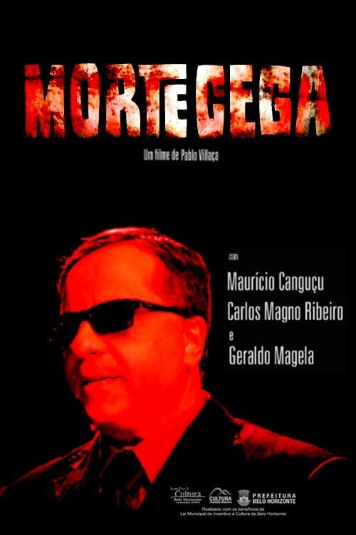 Movie poster for Morte Cega (2012)