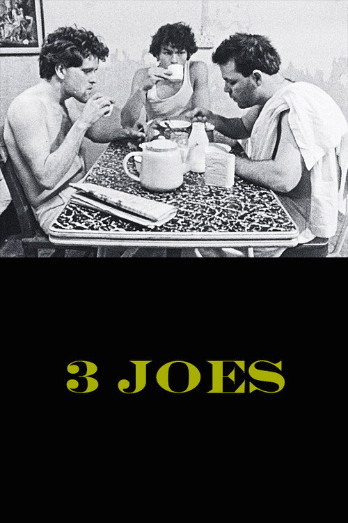 Movie poster for 3 Joes (1991)