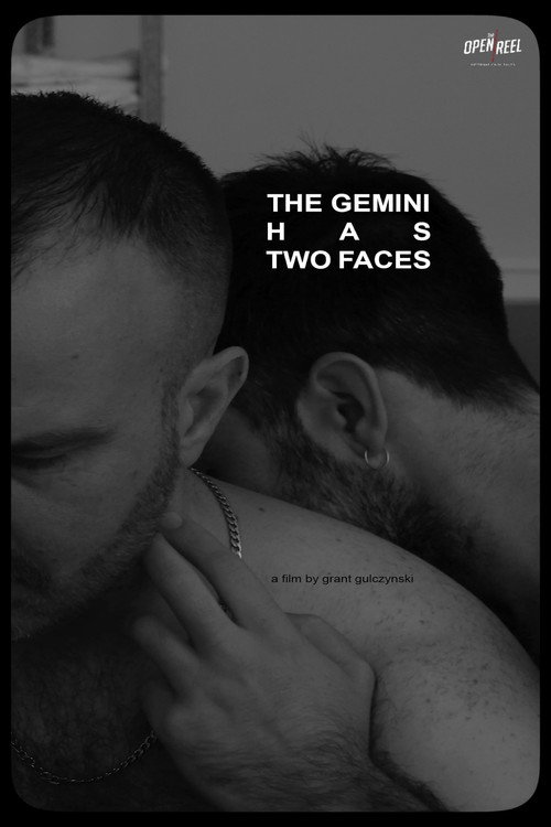 Movie poster for The Gemini Has Two Faces (2023)
