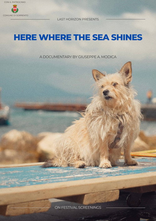 Movie poster for Here where the sea shines (2025)