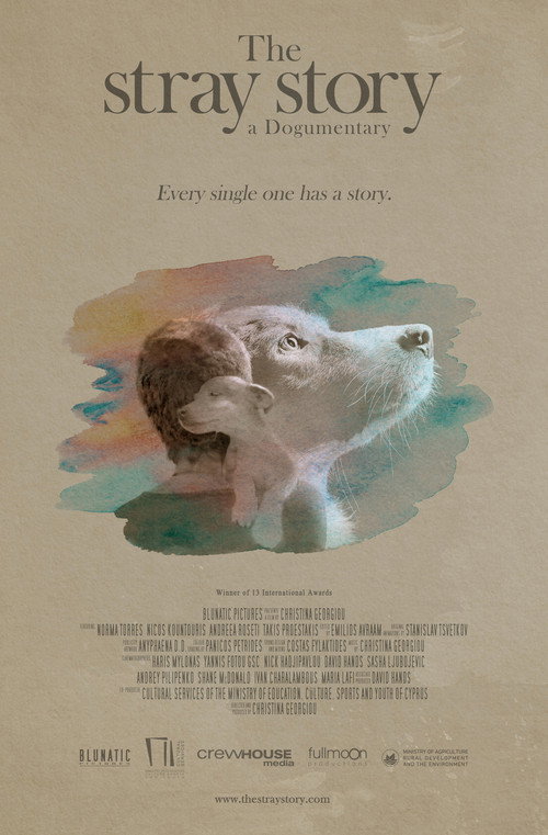 Movie poster for The Stray Story: A Dogumentary (2021)