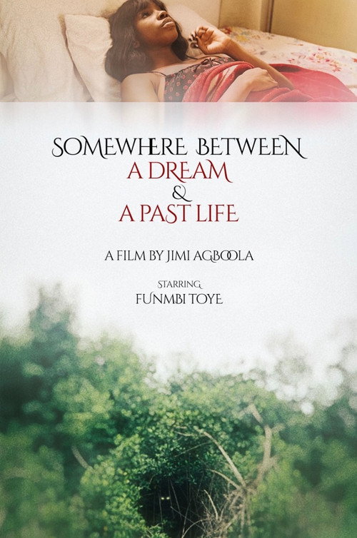 Movie poster for Somewhere Between a Dream and a Past Life