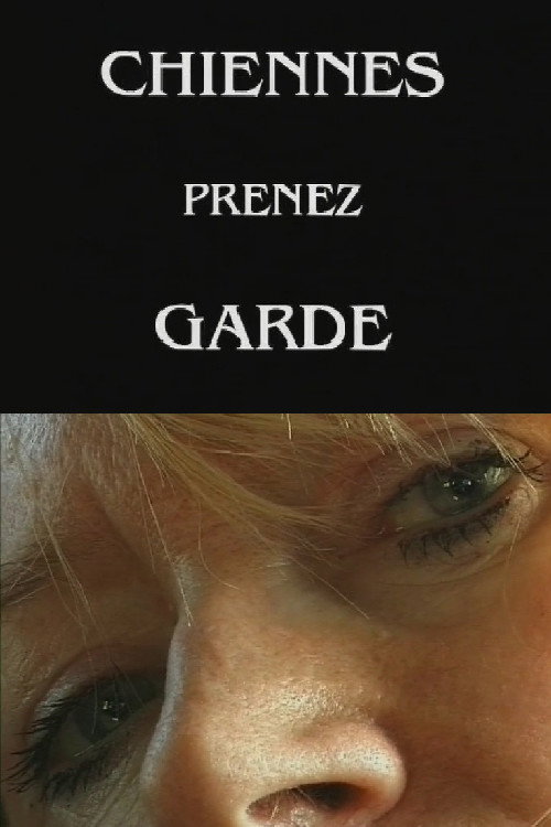 Movie poster for Chiennes, prenez garde ! (1999)
