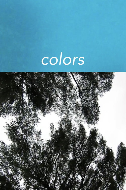 Movie poster for Colors (2014)