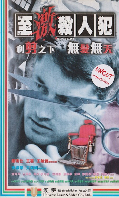 Movie poster for Mad Stylist (1997)
