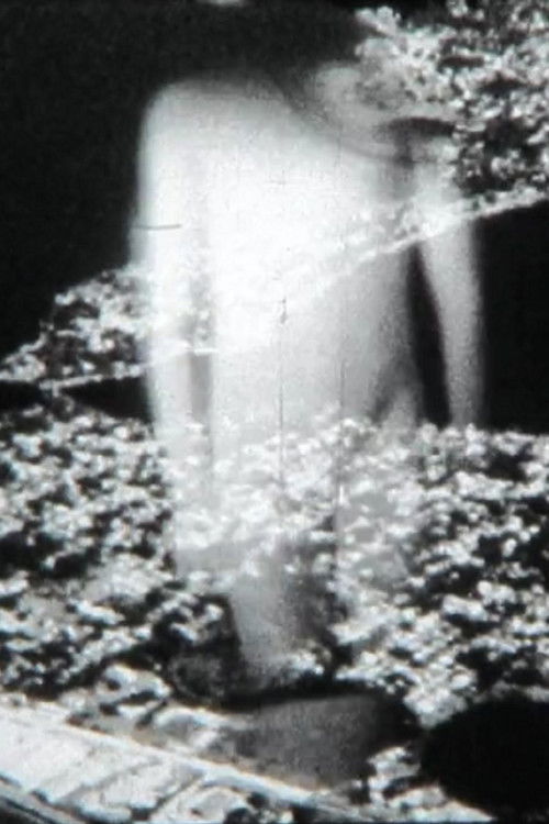 Movie poster for Conjectures (2013)