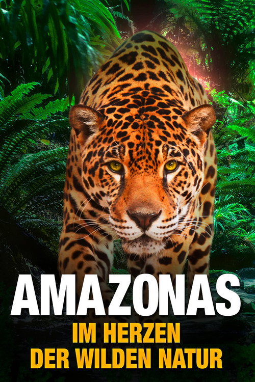 Movie poster for AMAZON 3D (2013)