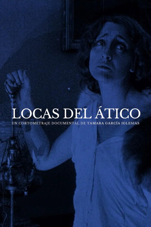 Movie poster for Madwomen in the Attic (2024)
