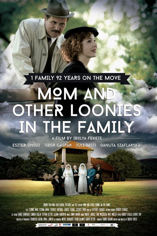 Movie poster for Mom and Other Loonies in the Family (2015)
