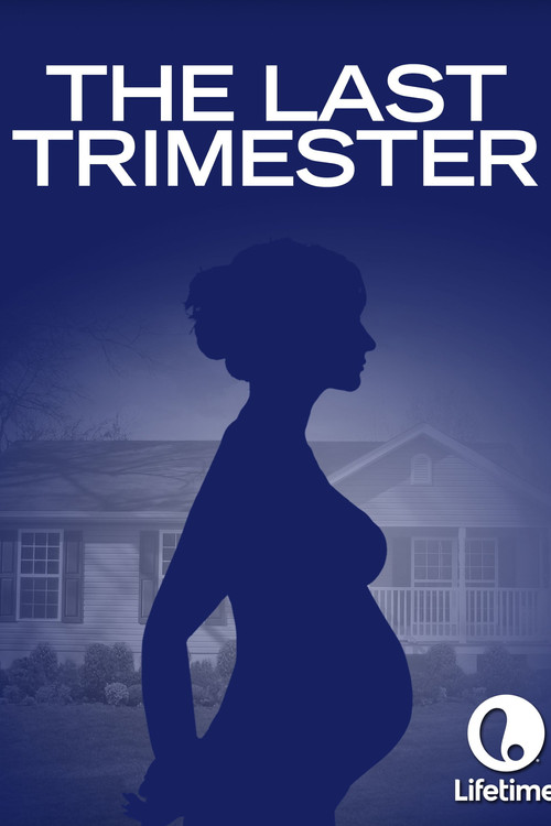 Movie poster for The Last Trimester (2007)