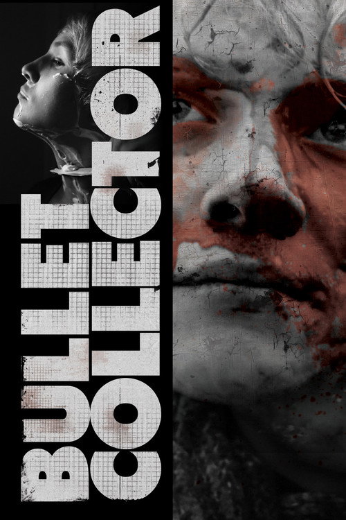 Movie poster for Bullet Collector (2012)