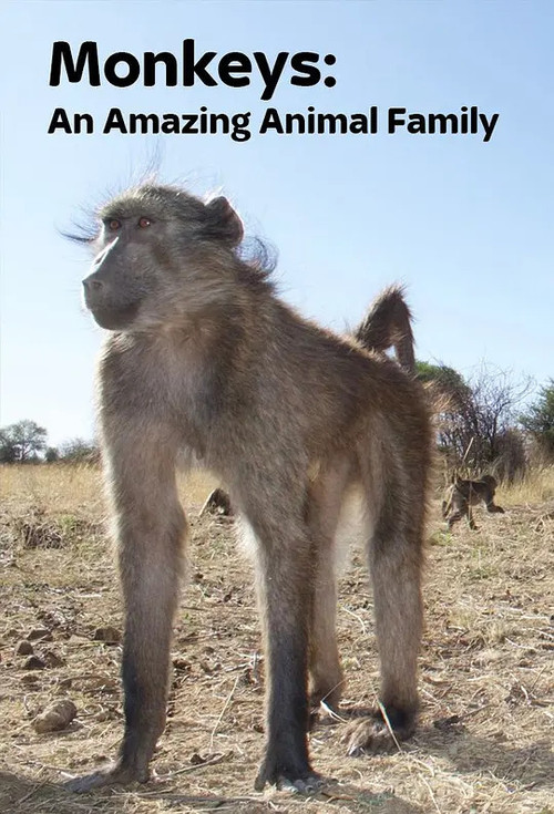 Series poster for Monkeys: An Amazing Animal Family (2016)