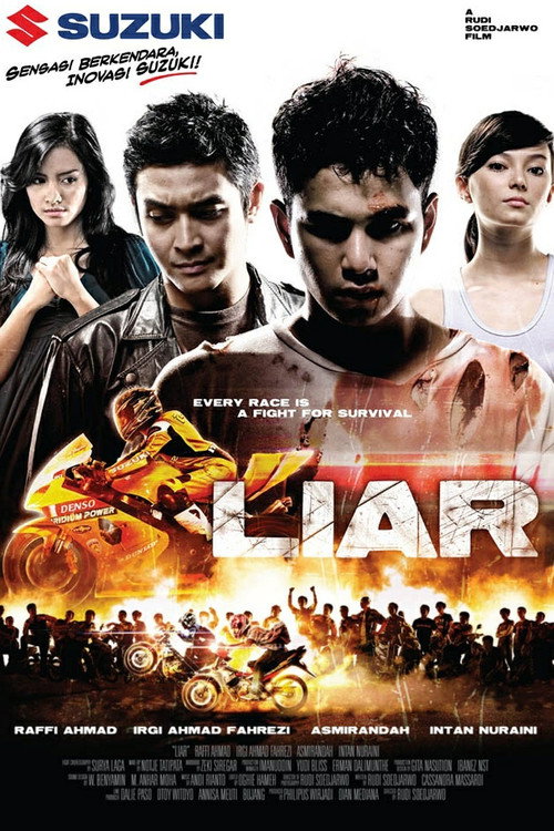 Movie poster for Liar (2008)