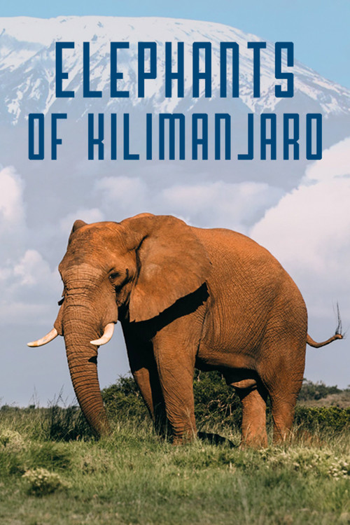 Movie poster for Elephants of Kilimanjaro (2022)