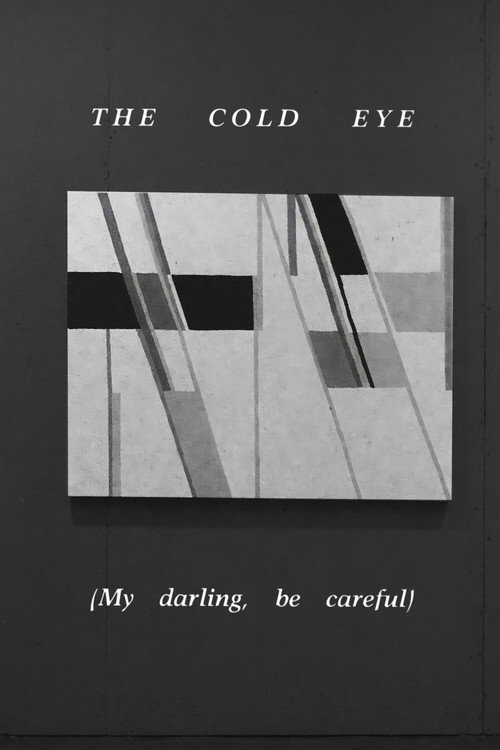 Movie poster for The Cold Eye (My Darling, Be Careful) (1980)