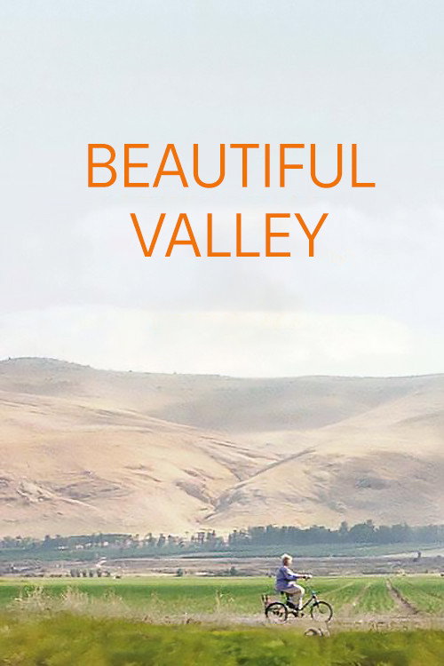 Movie poster for A Beautiful Valley (2011)