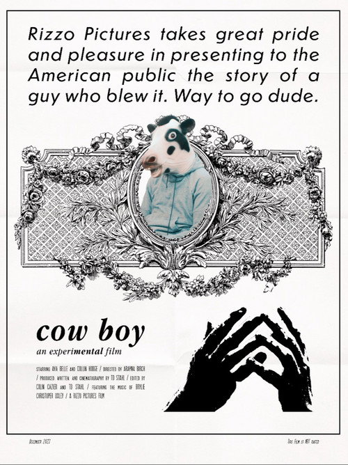 Movie poster for Cow Boy (2024)