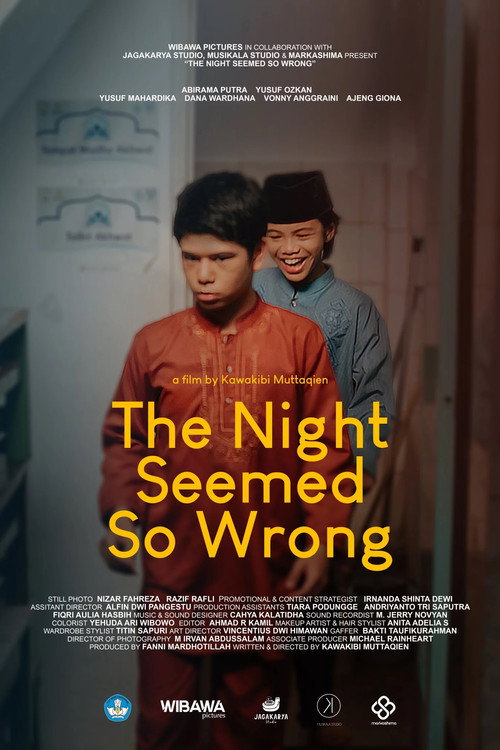 Movie poster for The Night Seemed So Wrong (2023)