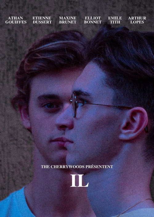 Movie poster for IL (2019)