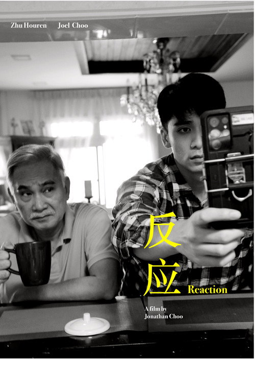 Movie poster for Reaction