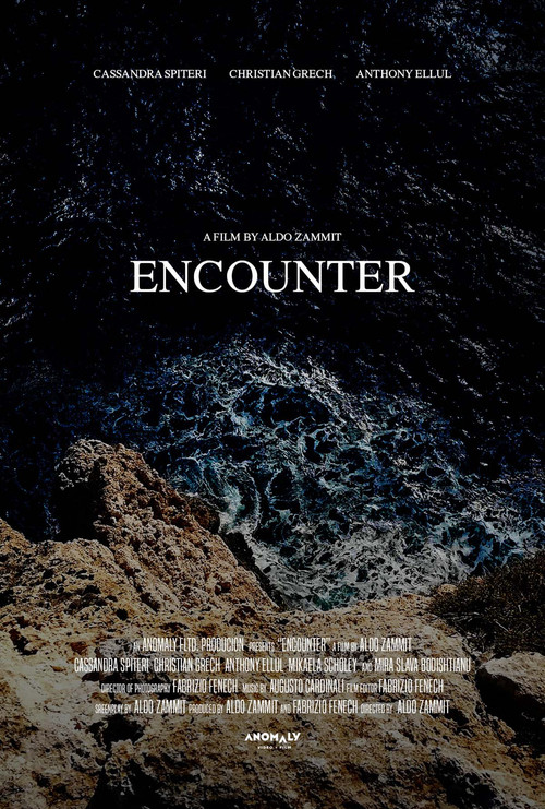Movie poster for Encounter (2022)