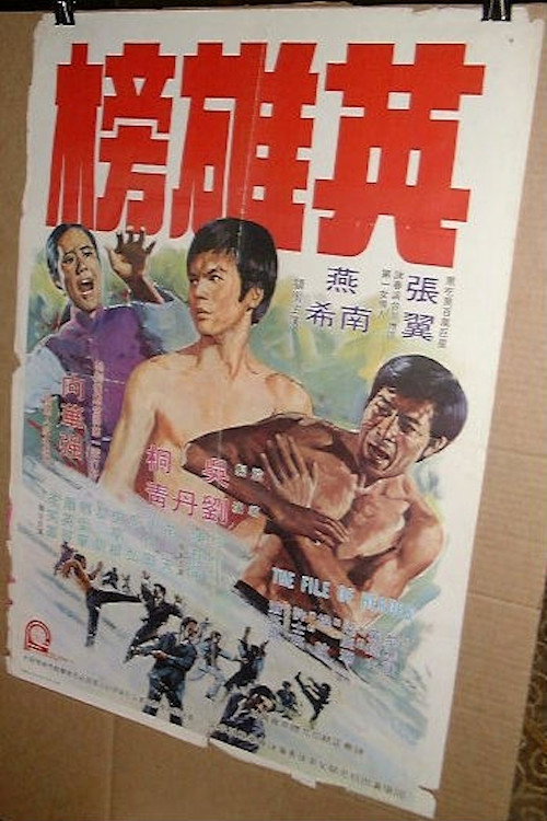 Movie poster for File of Heroes (1975)