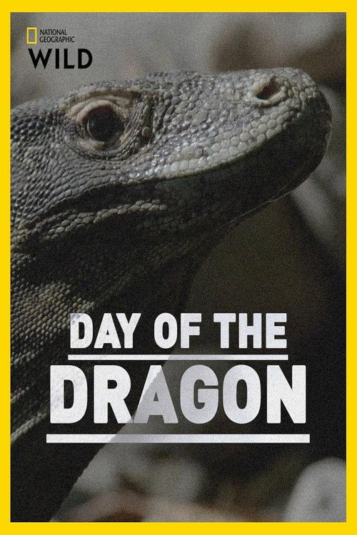 Movie poster for Day of the Dragon (2024)