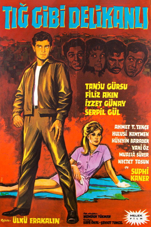 Movie poster for Tığ Gibi Delikanlı (1964)