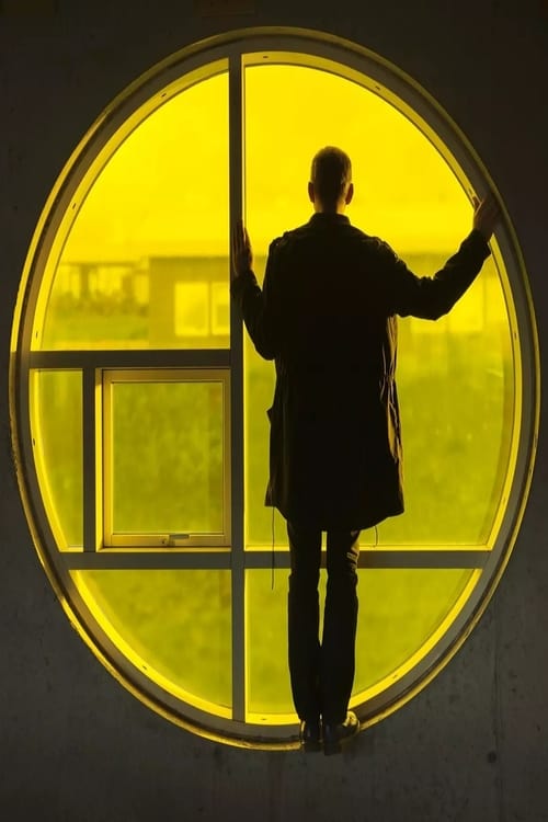 Movie poster for Playtime (2013)