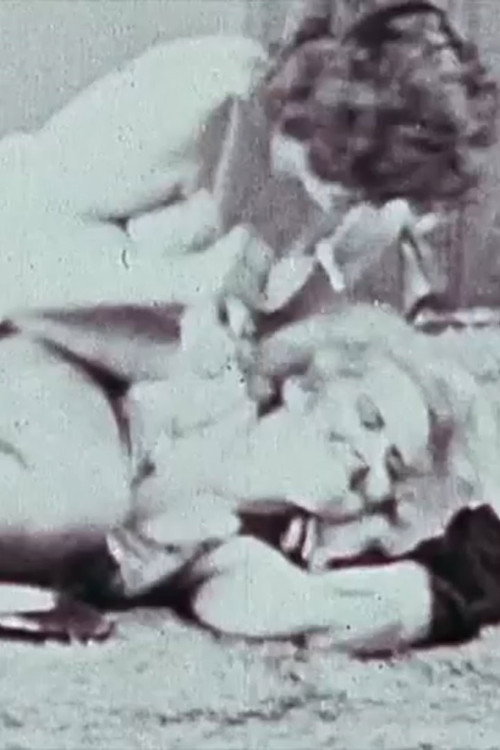 Movie poster for Lively Pin Down Struggle