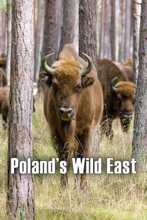 Poland's Wild East poster