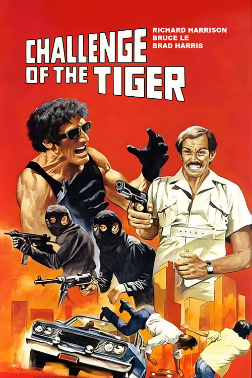Movie poster for Challenge of the Tiger (1980)