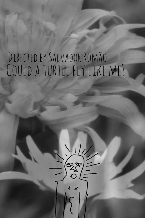 Movie poster for Could a turtle fly like me? (2025)