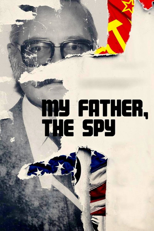 Movie poster for My Father, the Spy (2019)