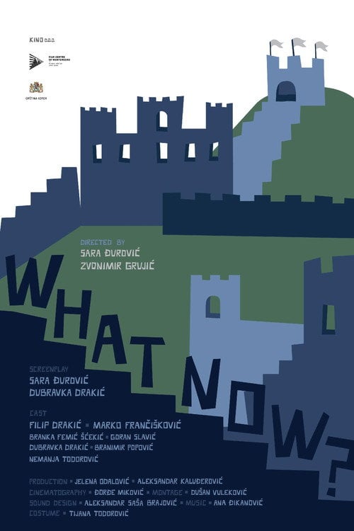 Movie poster for What Now?