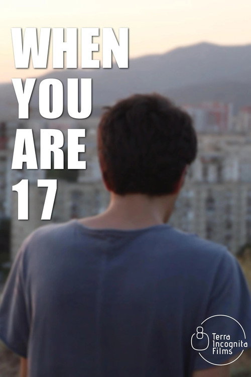 Movie poster for When You Are 17 (2024)