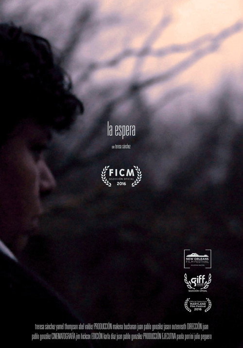 Movie poster for La espera (The Wait) (2016)